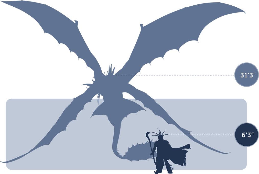 Got Dragon Size Chart