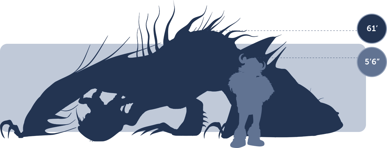 Dragon Size Chart