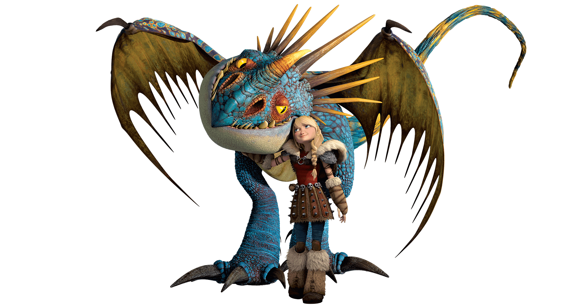 Dragon Flyers, How to Train Your Dragon Wiki