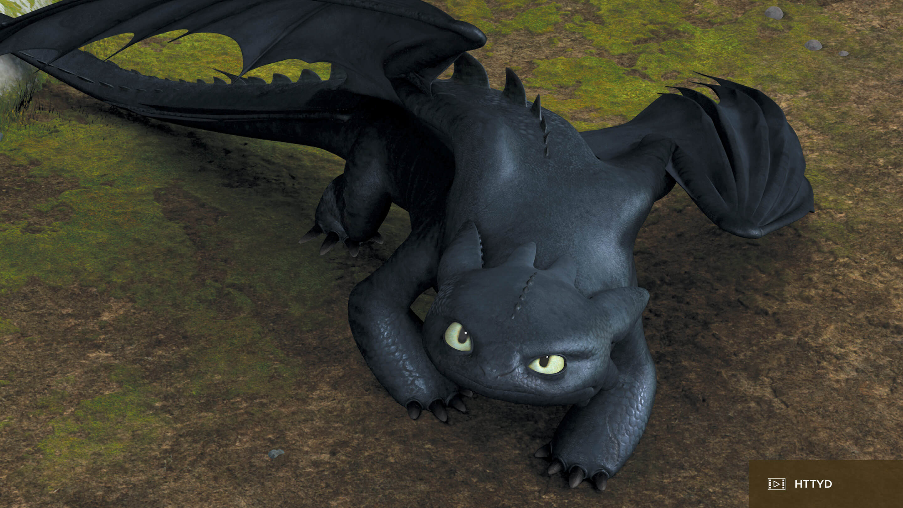 100. Who is Toothless? 
