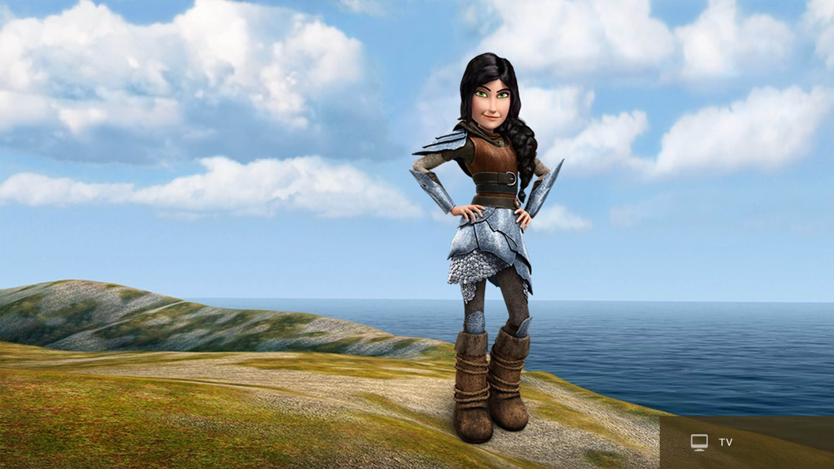 How To Train Your Dragon Hiccup And Heather
