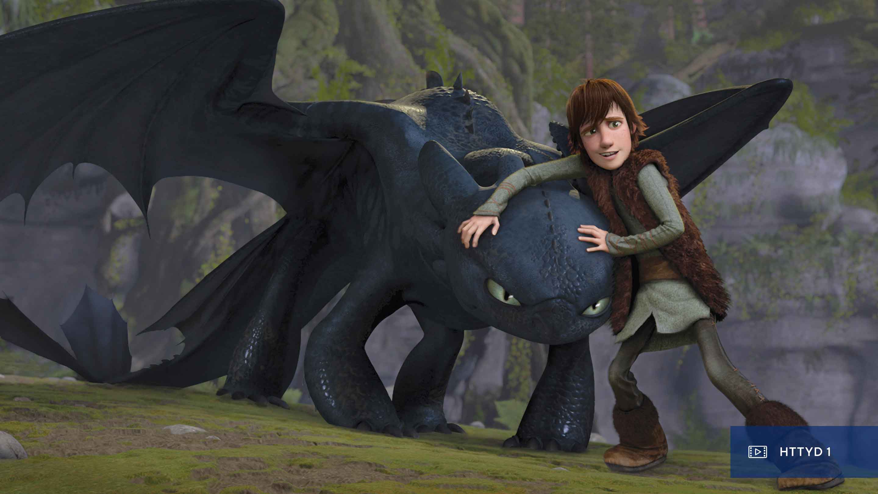 Featured image of post Toothless And Hiccup Httyd 3 Hiccup and toothless can perform various ridiculous maneuvers